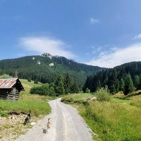 Drevenica Harmony Villa Ruzomberok Exteriör bild
