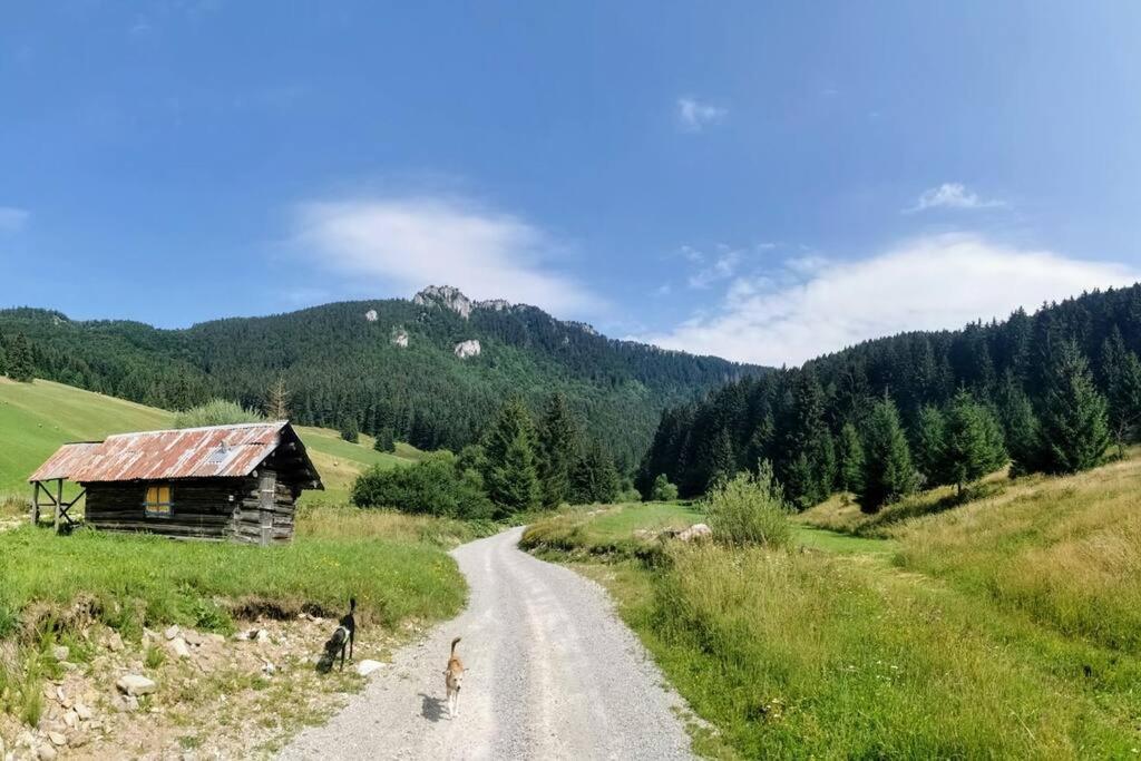 Drevenica Harmony Villa Ruzomberok Exteriör bild
