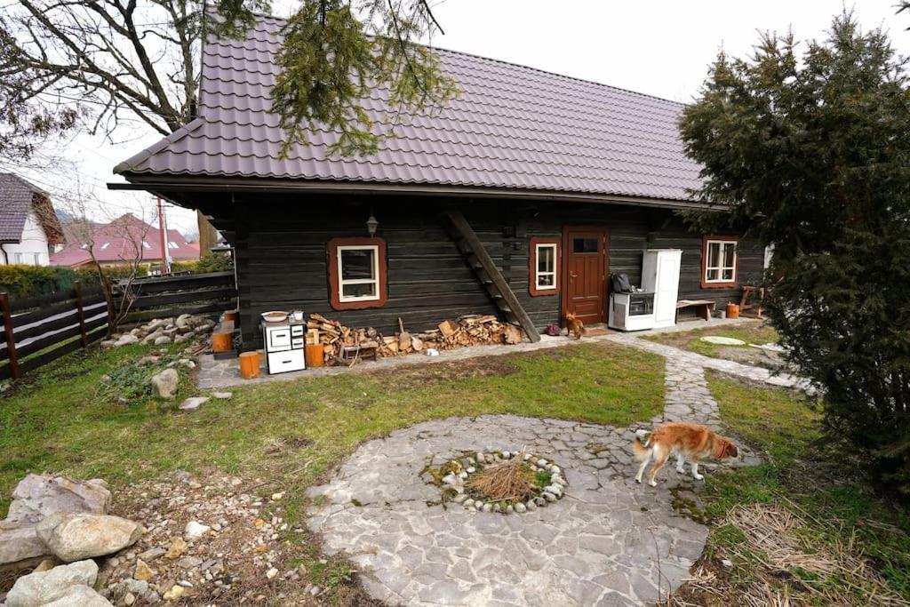 Drevenica Harmony Villa Ruzomberok Exteriör bild